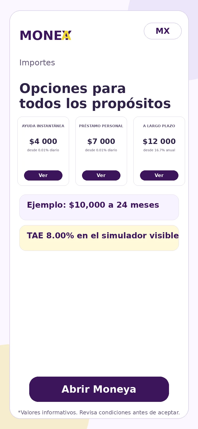 Vista previa 4
